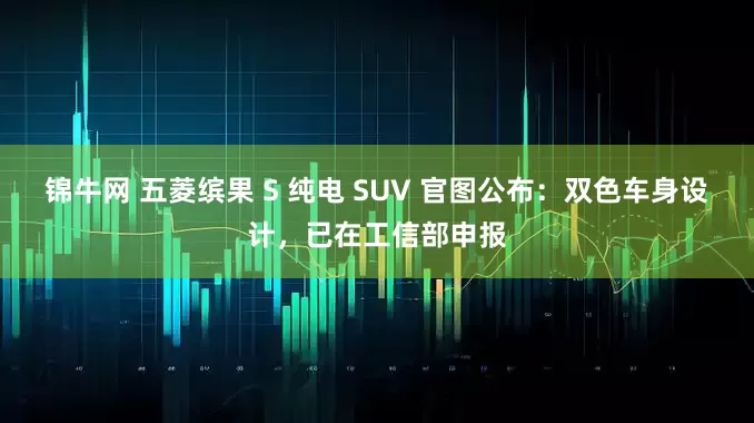 锦牛网 五菱缤果 S 纯电 SUV 官图公布：双色车身设计，已在工信部申报