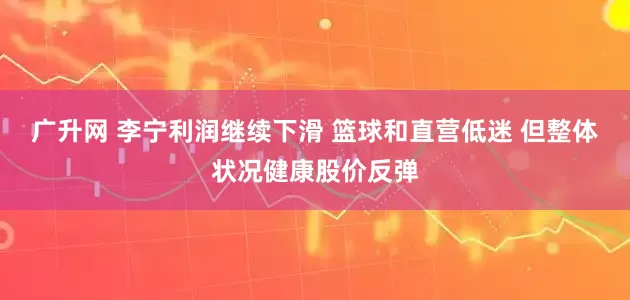 广升网 李宁利润继续下滑 篮球和直营低迷 但整体状况健康股价反弹