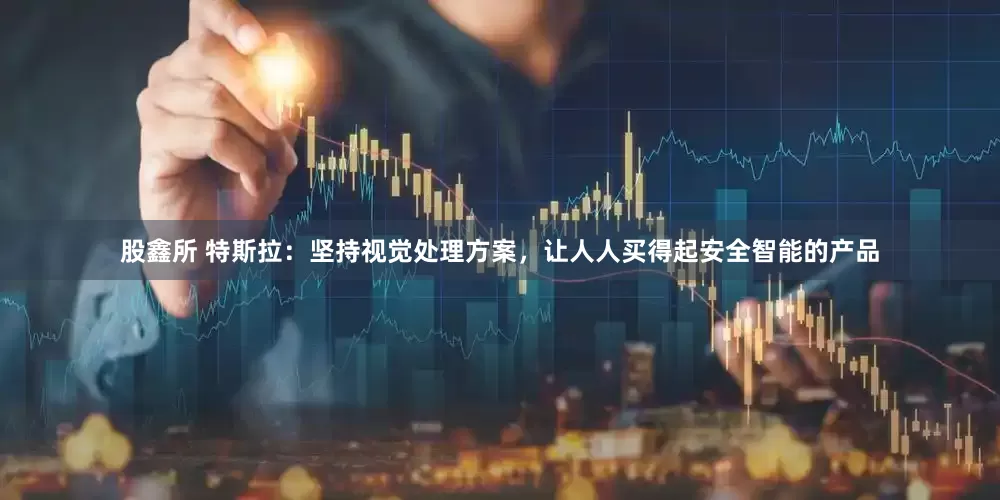 股鑫所 特斯拉：坚持视觉处理方案，让人人买得起安全智能的产品