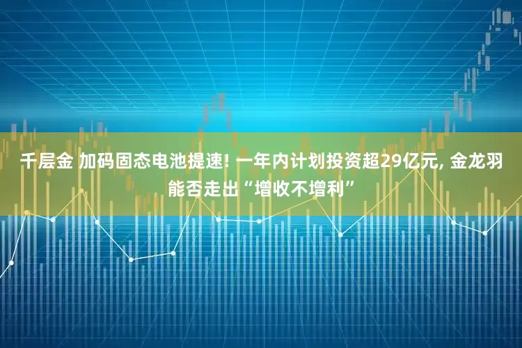 千层金 加码固态电池提速! 一年内计划投资超29亿元, 金龙羽能否走出“增收不增利”